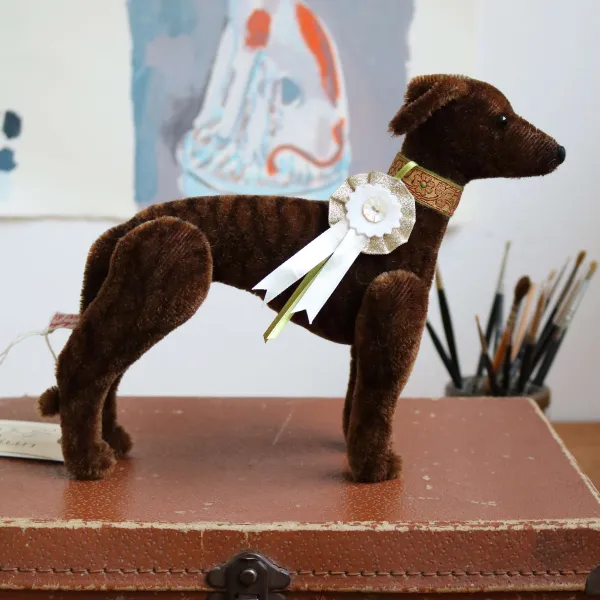 Whippet