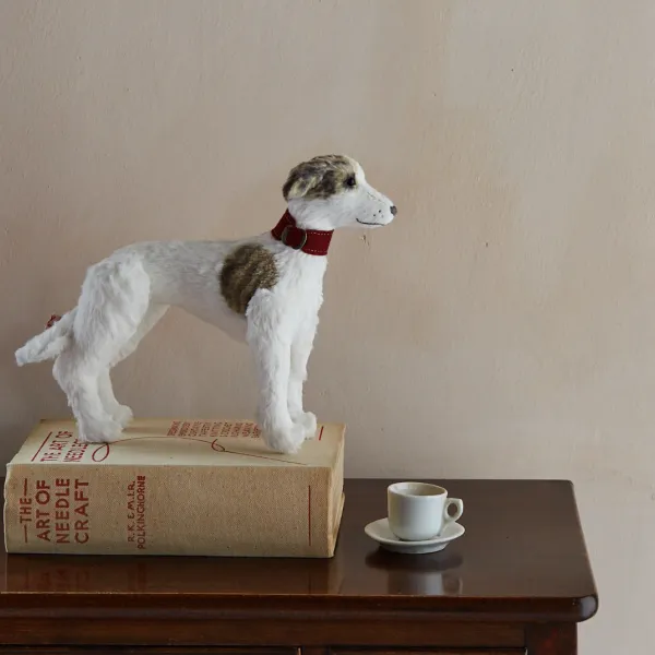 Whippet