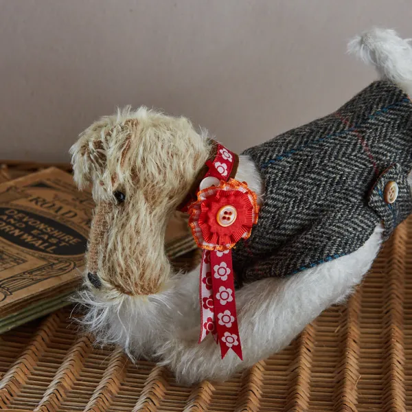 Wire Haried Fox Terrier with Tweed Coat