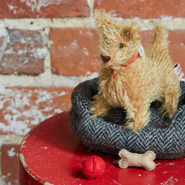 Tiny Terrier in a Tweed Bed